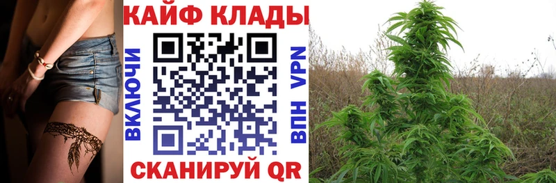 Купить закладку Спас-Клепики Канабис Кокаин ГАШ