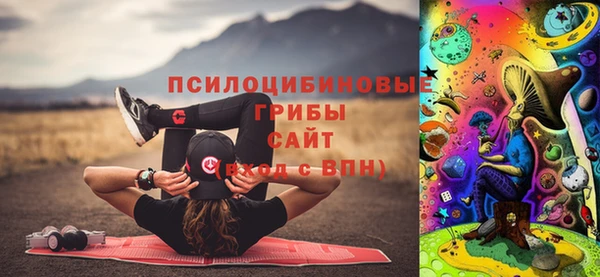 амф Россошь