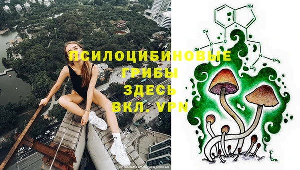 амф Россошь