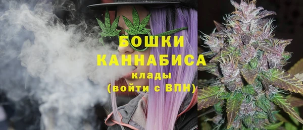 молекула духа Рославль
